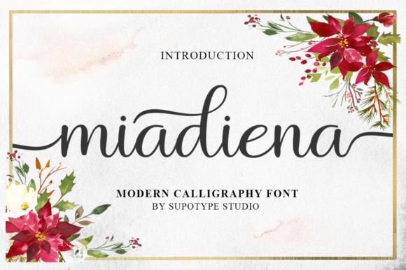 Beautiful Script Font for Creative Projects