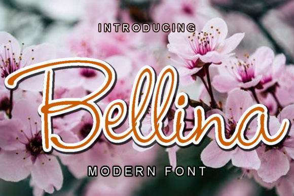 Bellina: A Romantic Font for Business Branding