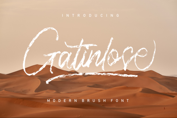 Gatinlose: A Font for Polished Branding
