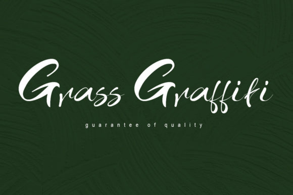Grass Graffiti: A Charming Script for Branding