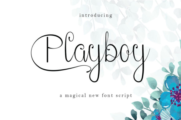 Playboy Font: A Playful Typeface for Web Design